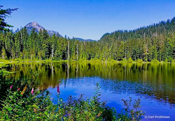 A bright summer view of Mirror Lake at Snoqualmie Pass, Washington. The lake reflects the surrounding evergreen forest and the rugged mountain peak in the distance. In the foreground, pink and purple wildflowers grow along the water’s edge, adding color to the lush greenery. The sky is clear and blue, enhancing the vivid contrast of green trees, calm water, and the jagged peak in the background. The overall mood is peaceful and serene, capturing the beauty of a Pacific Northwest alpine setting.