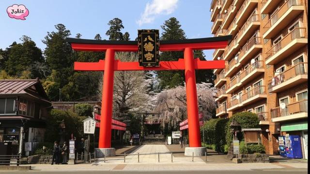 日本自駕遊 宮城縣 仙台 榴岡公園 大崎八幡宮 仙台城跡｜Japan Road Trip Miyagi Prefecture Sendai Sakura 2025-04