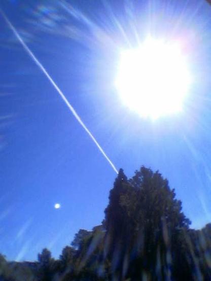 lo-fi photography of a tree against a blue sky, with a glaring sun and a plane trail like a streak across the sky