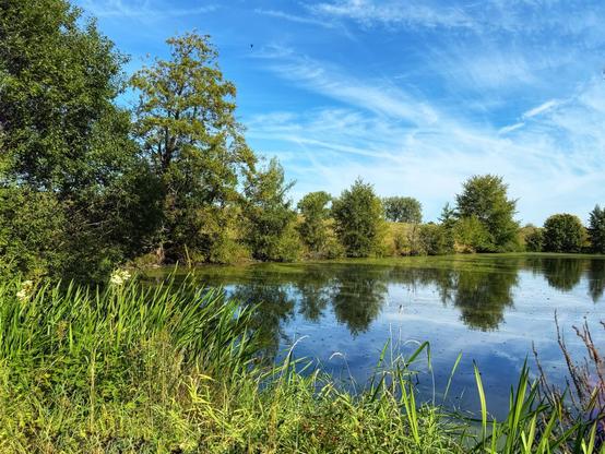 Lake