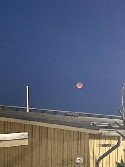 punaisena möllöttävä täysikuu valosaasteen keskellä.