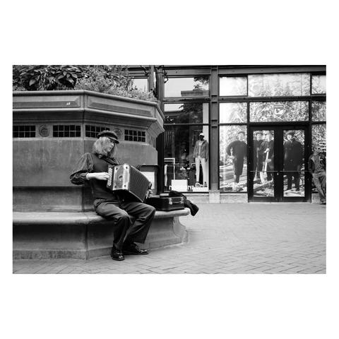Street musician playing an accordion on the street in downtown Boulder, CO