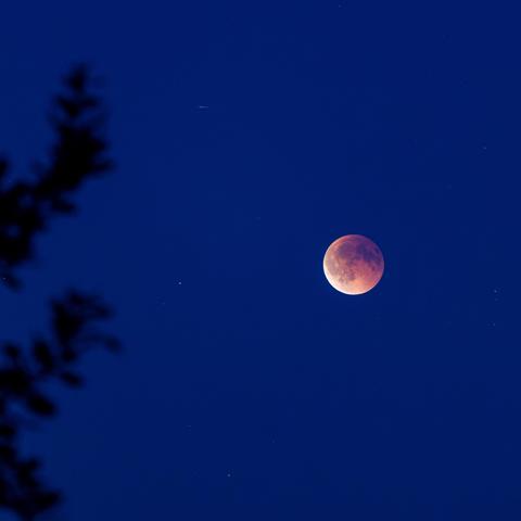 Ein klarer dunkelblauer Himmel im Spätsommer, ein rosafarbener Vollmond tritt gerade aus dem Erdschatten hinaus und zeigt unten links einen weiteren, von der Sonne beschienenen Rand. Links vom Mond ahnt man noch dunkel die unscharfen Zweige einer Eiche.