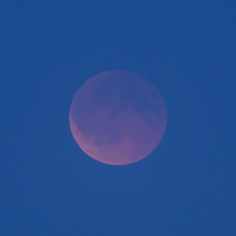 Verfinsterter Mond am noch blauen Dämmerungshimmel.