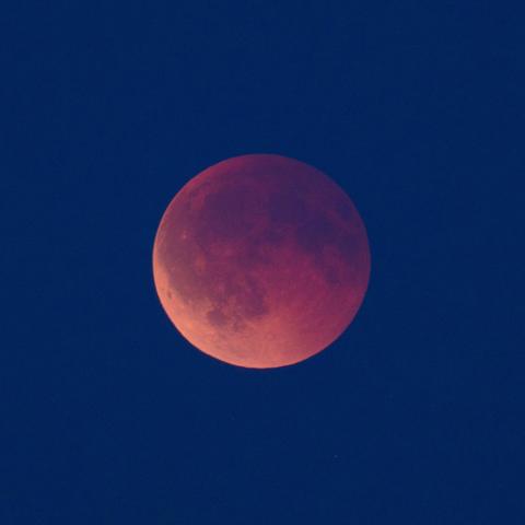 Verfinsterter Mond am noch blauen Dämmerungshimmel.