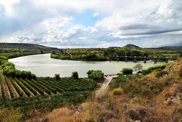 Paisaje en el que se aprecia un remanso del río Ebro formando un meandro entre viñedos.
