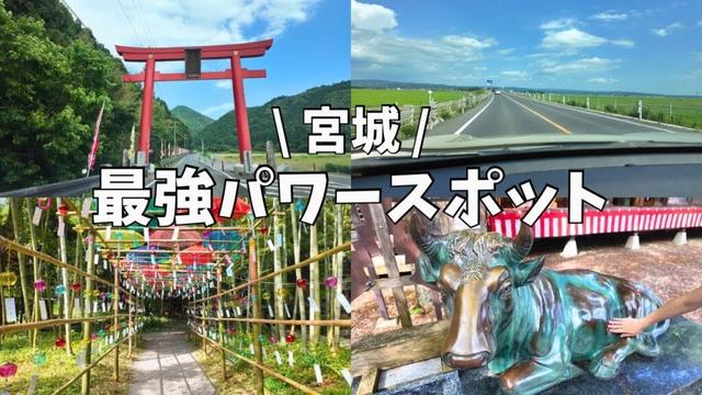 【宮城観光】1300年続く歴史ある最強パワースポット⛩️#仙台観光 #仙台旅行 #宮城観光 #宮城旅行 #神社 #shrine