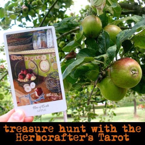 Photo of my hand holding a tarot card with a drawing of apples being prepared in a kitchen. Behind and next to the card there is an apple tree. Text: treasure hunt with the herbcrafter's tarot.