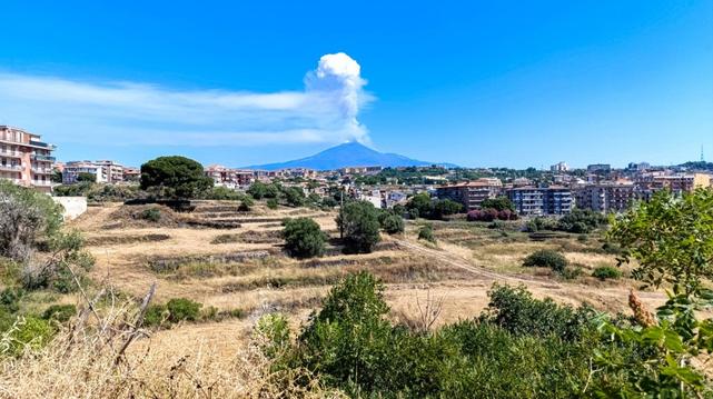 veduta d'insieme dell'area (subito dopo lo scerbamento antincendio) con Etna sullo sfondo