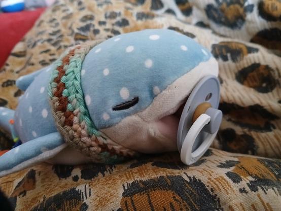 a whaleshark plushie with a pacifier and wearing  a blue/white/brown crochet headband