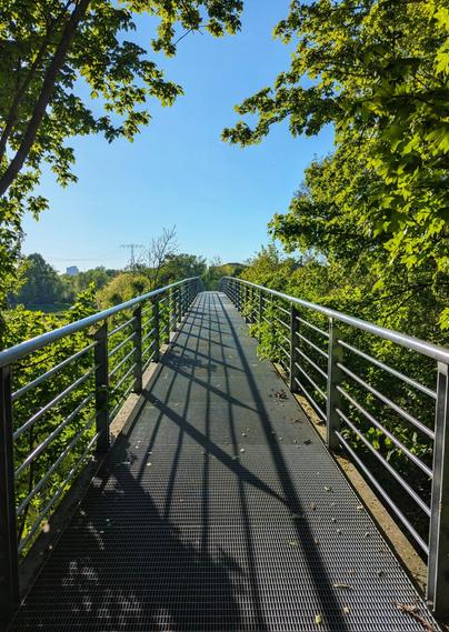 A long, narrow footbridge made of metal mesh extends over a path. The bridge has shiny metal handrails on either side. Tall, leafy trees with vibrant green foliage line both sides of the bridge, their leaves casting long, distinct shadows on the metal grid walkway. The sun is shining brightly from directly behind the viewer, illuminating the scene. In the distance, a small building and a power line pylon are visible through the trees against a clear blue sky.