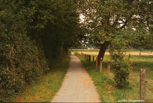 Sommer 2025 in Coesfeld am Eiskeller.
