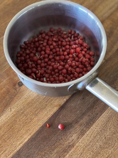 A small stainless steel saucepan has a layer of small red eleagnus berries (silverberry), which look like a thicker-rougher-skinned redcurrant berry. A whole one and the single large seed from inside lie on the wooden bench in front of the mini saucepan.