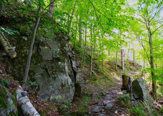 Rocks along the thayatalweg in the waldviertel, lower austria