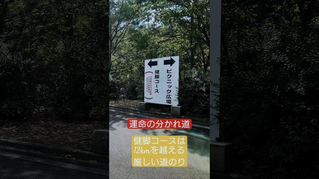 1周12km サイクリング🚲️【中央森林公園】広島県三原市本郷町にて　2025/09  #広島 #自転車 #秋 #行楽 とは言い難い 道のり