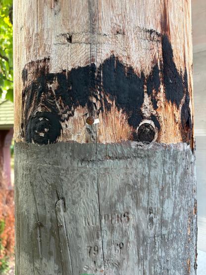 Utility pole appears to display a face peeking out from behind a band of paint. The eyes are knots in the wood.