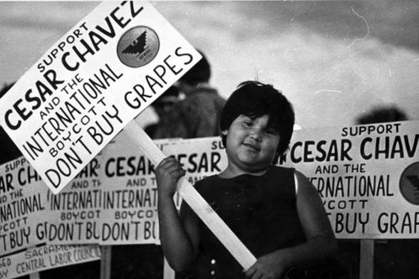 Farmcworkers and their supporters at a protest with picket signs. In the front is a young boy with a picket sign that reads: Support Cesar Chavez and the International boycott. Don't buy grapes.