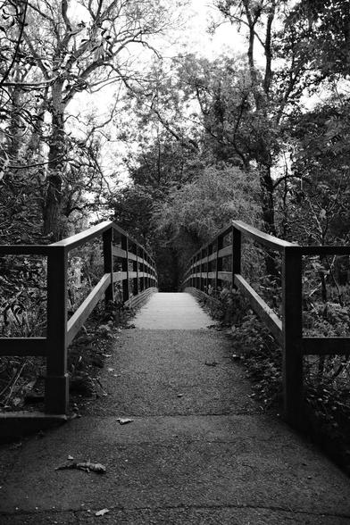 Black and white photo of a long narrow pedestrian bridge in the forest.