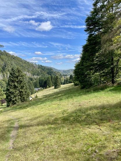Wiese, Bäume, blauer Himmel und ein paar Wölkchen