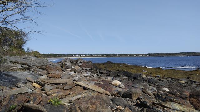 A rocky stretch of beach. Across the bay are some houses and trees. The water is blue with white crests of waves, the sky is blue is mostly cloudless, and there are a few flowers growing out of the rocks.