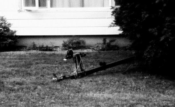 A trailer hitch rests on the grass of a front yard. The trailer is hidden by the branches of a tree, giving the impression that the trailer hitch is connected to the tree itself.