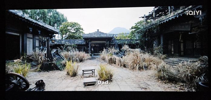 The courtyard of a Chinese manor, overgrown with weeds. The paint of the houses is flaking, and the roofs are covered in grass.