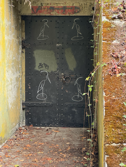 A pair of metal doors to a bunker. Each door has a two white sketches of a great blue heron standing in water forming a sort of grid of four.
