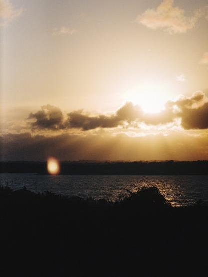 A scenic ocean scape obscured in shadow during deep sunset, vegetation just barely discernible in the foreground and the ocean in the background. Lens flare.