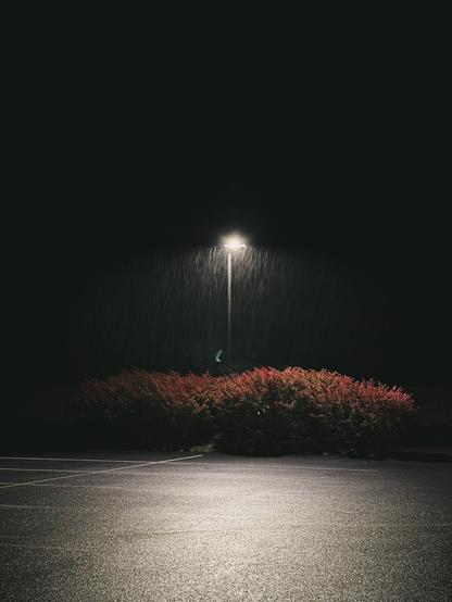 A liminal space aesthetic of a light illuminating red flowers underneath at night, with raindrops visibly whipping in the scene.