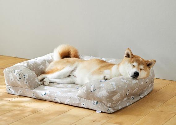 宇宙を漂う犬猫が可愛い!秋冬新柄コラボベッド全5アイテム9月8日より10%OFF開始 | NEWSCAST
