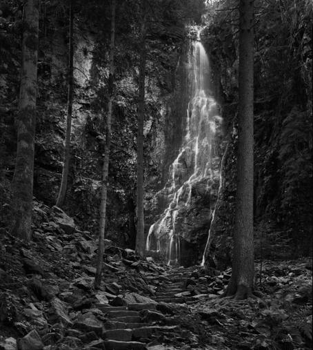Afraid

#Intrepid #8x10 #Intrepid8x10MkII #Foma #Fomapan200 #XT-3 #analog #shootfilm #film #photography #BelieveInFilm
