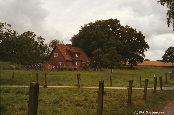 Sommer 2025 in Coesfeld am Eiskeller.