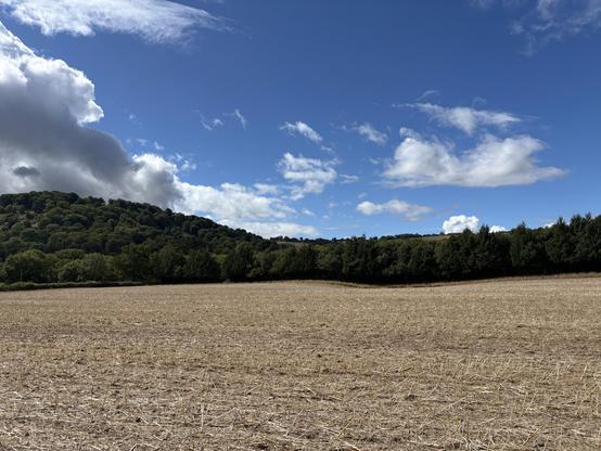 Fields just outside of Tyberton. The field is brown after the crops have been harvested. At the end of the field is a treeline and the sky is blue with white clouds.