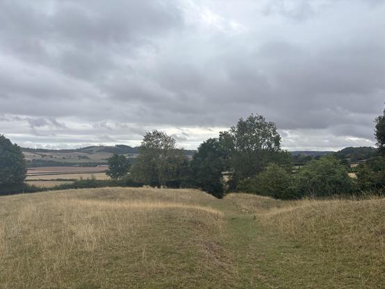 A path over a field leading to a clump of trees downhill. The sky is low and grey.
