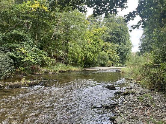 Bottom of the river bank/side of the river view of a river I have been going to all my life. The time that we can keep this caravan here has come to and end and there is unfortunately no interesting in renewing this.