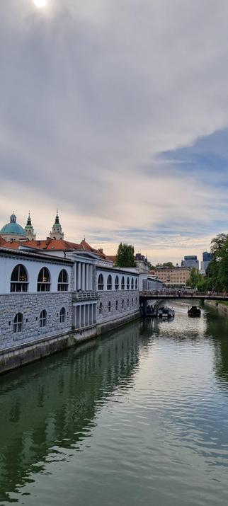 Foto des Fluss Ljubljanica an der Altstadt. Am linken Ufer sind die Plečnikove arkade zu sehen – weiße Markthallenbögen, die 1900 von Jože Plečnik geplant und erst Jahrzehnte später gebaut wurden. Mittig quert die Mesarski most (Metzgerbrücke), Teil von Plečnik's Vision, die 2010 gebaut wurde. Im Hintergrund ist die Skyline der Altstadt zu sehen.