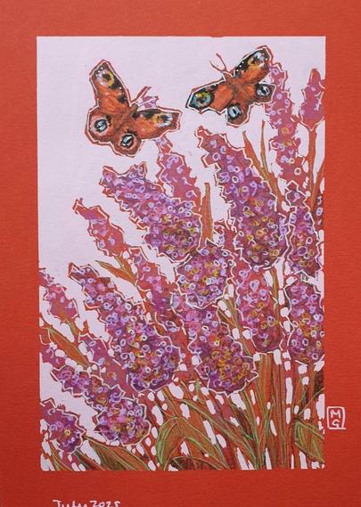 A small original artwork of two peacock butterflies flying over purple and pink toned Buddleia bush flowers. The artwork has a pink background and is on red paper.
An original art work
Colour pencil and mixed media on acid free toned artist paper
5 by 7 inches (12.7 by 17.8 cm).
Sold unframed