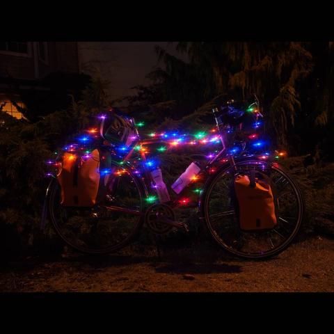 Photo by Neil E. Hodges on December 24, 2020. Image may contain: bicycle, night, tree, plant and outdoor.