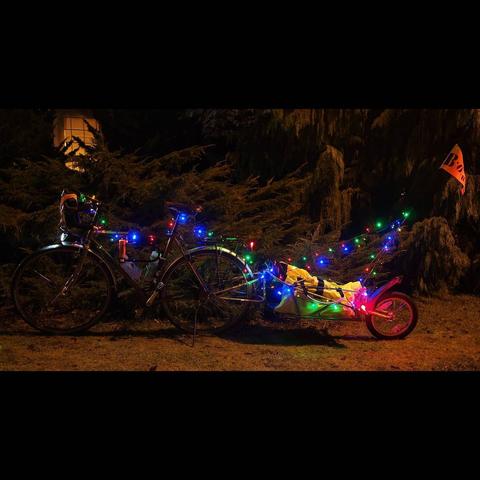 Photo by Neil E. Hodges on December 24, 2020. Image may contain: night, tree and outdoor.