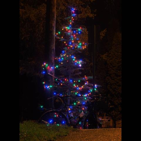 Photo by Neil E. Hodges on December 24, 2020. Image may contain: night, tree, christmas tree, plant and outdoor.