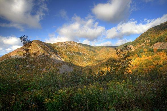 Parc national des Hautes-Terres-du-Cap-Breton.