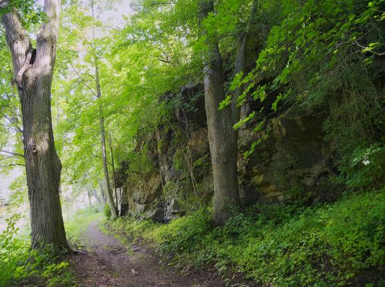Rocky trail along the thaya valley, waldviertel, lower austria