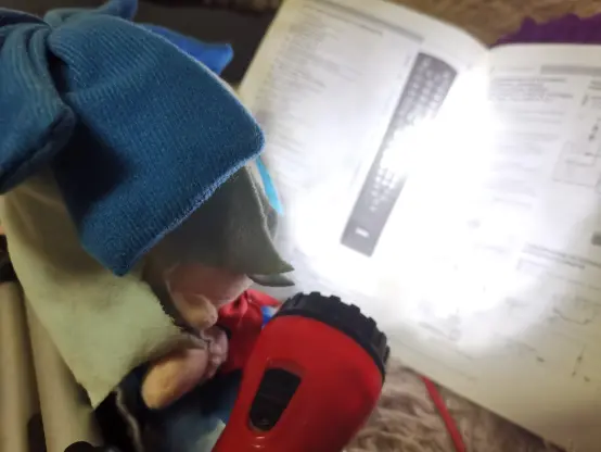 FUMO Cirno читает инструкцию к пульту и телевизору