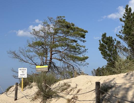 Ein Strandaufgang, dahinter ein leicht bewölkter Himmel.