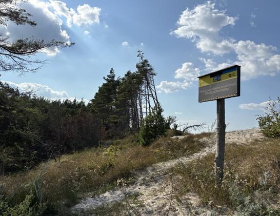 Ein Strandaufgang, dahinter ein leicht bewölkter Himmel.