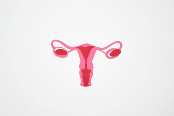 graphic art of a woman s ovary