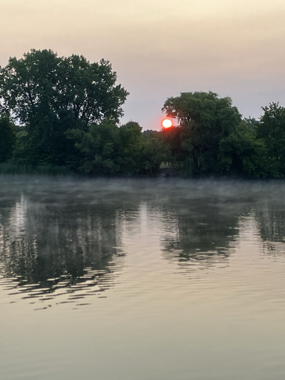 Mist on the Rideau River with the red sun visible beyond the green trees mid frame
