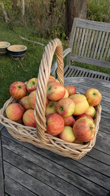 Ein Korb voller Äpfel