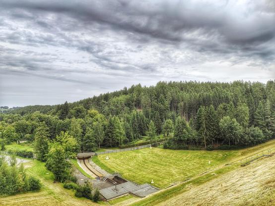 Leicht gewellte Landschaft an der Talsperre Falkenstein. Abfallender, mit Gras bewachsener Hand, dahinter dichter Wald. Der Himmel stark bewölkt.