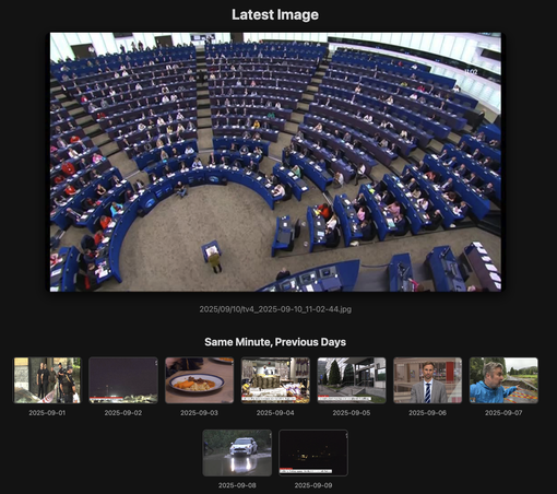 Stor bild från Europaparlamentet och nio små bilder från TV4:s nyhetssändningar med poliser, krig, skolmat, matmoms, tingsrätt, nyhetsstudio, slukhål, översvämning och beskjutet fartyg.